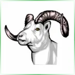 Little Big Horn College